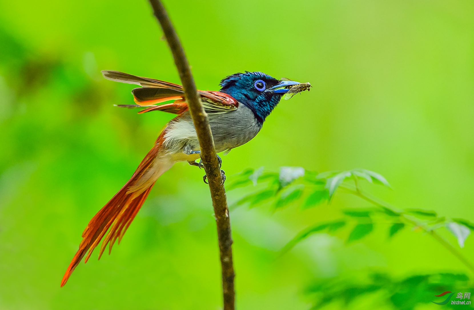 DSC_2363.jpg