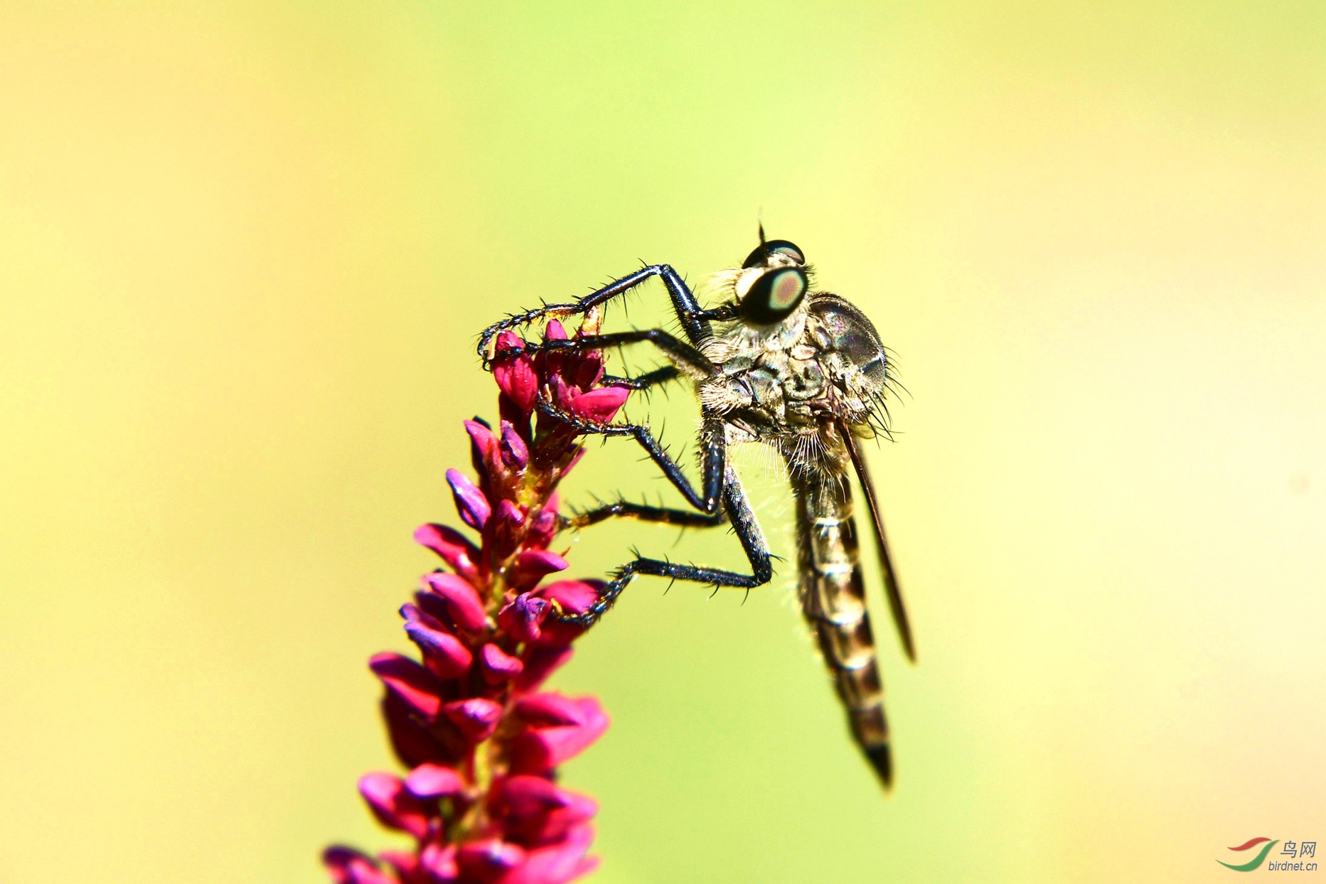 ���� 807.JPG