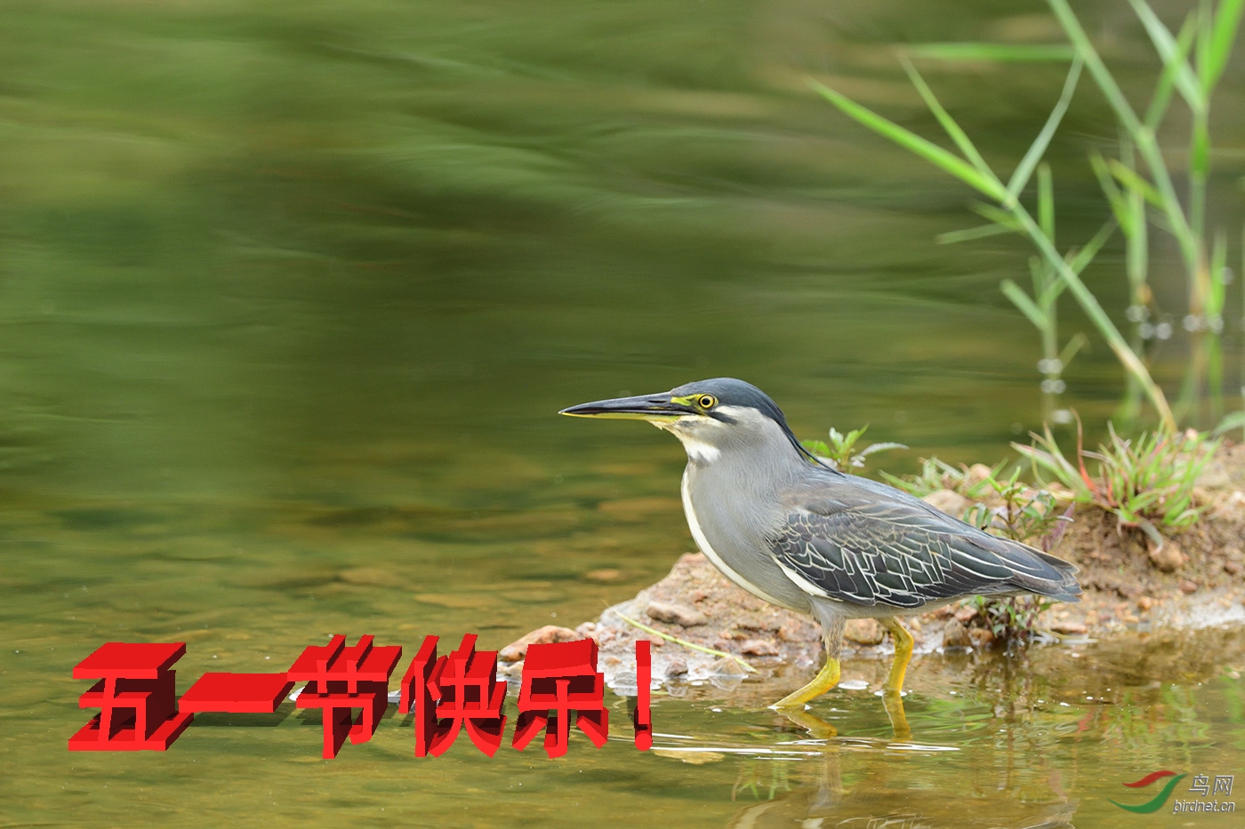 D5S_8280_20942a.jpg