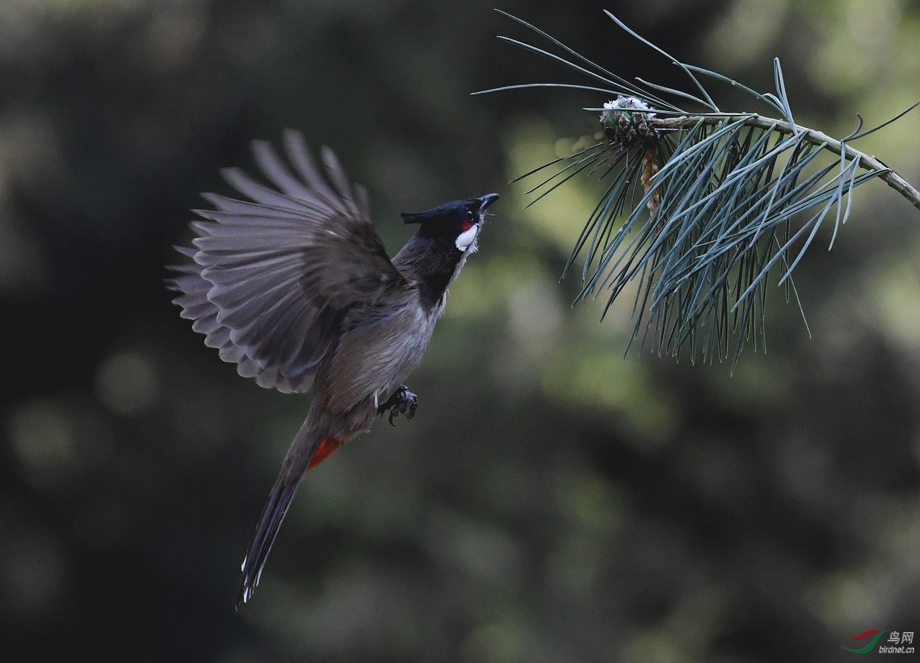 ������Ӱ 1675����.jpg