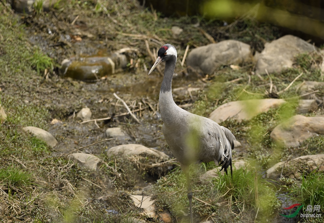 _DSC0601_00001-p-02.jpg