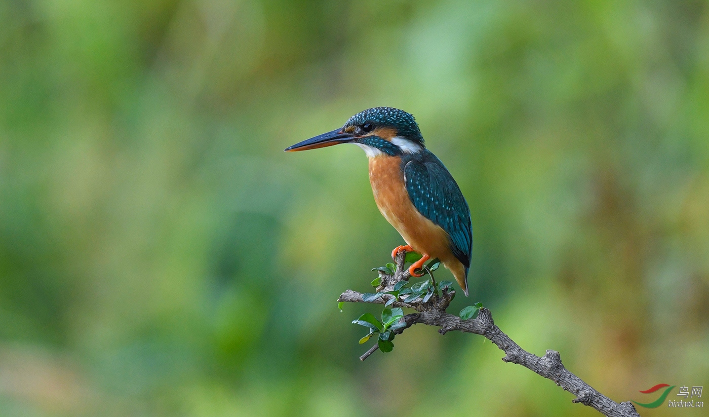 DSC_2657.jpg