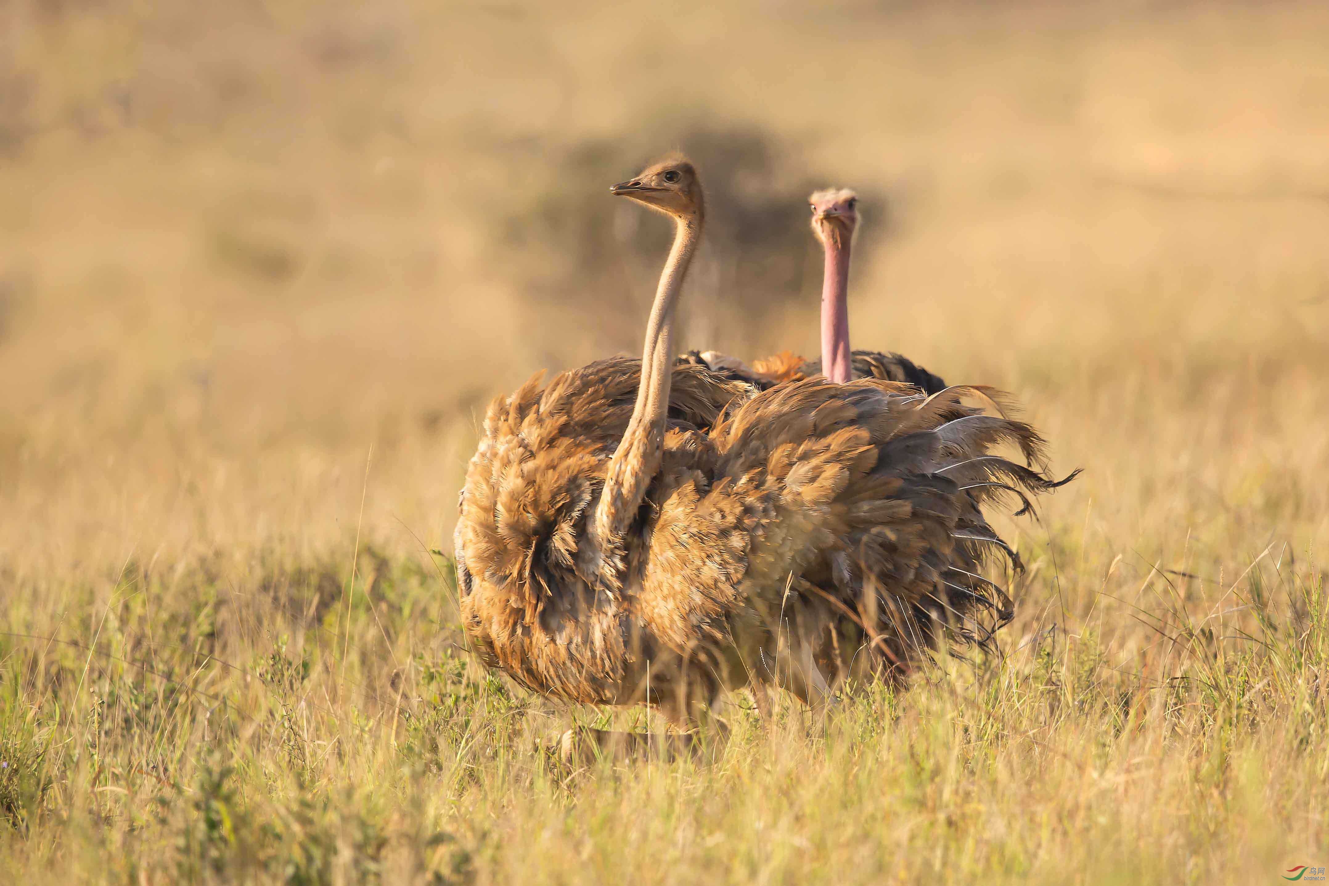 D17T5566-1 ����.jpg