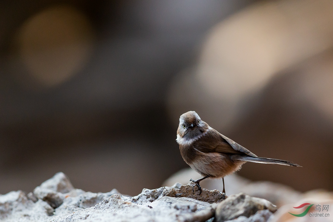 ��ʦ�ǽ��տ���