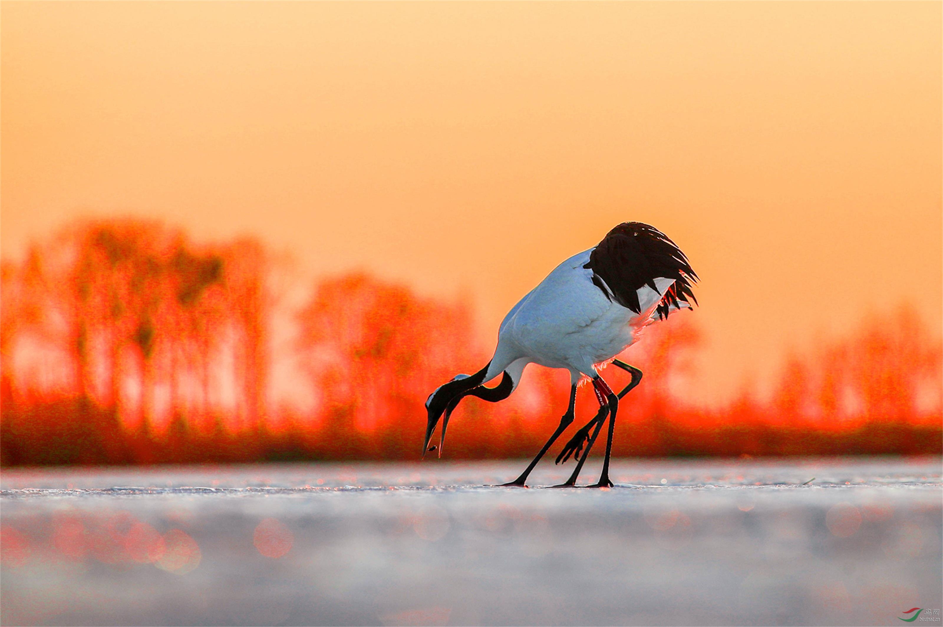 _70I0234 ����.jpg