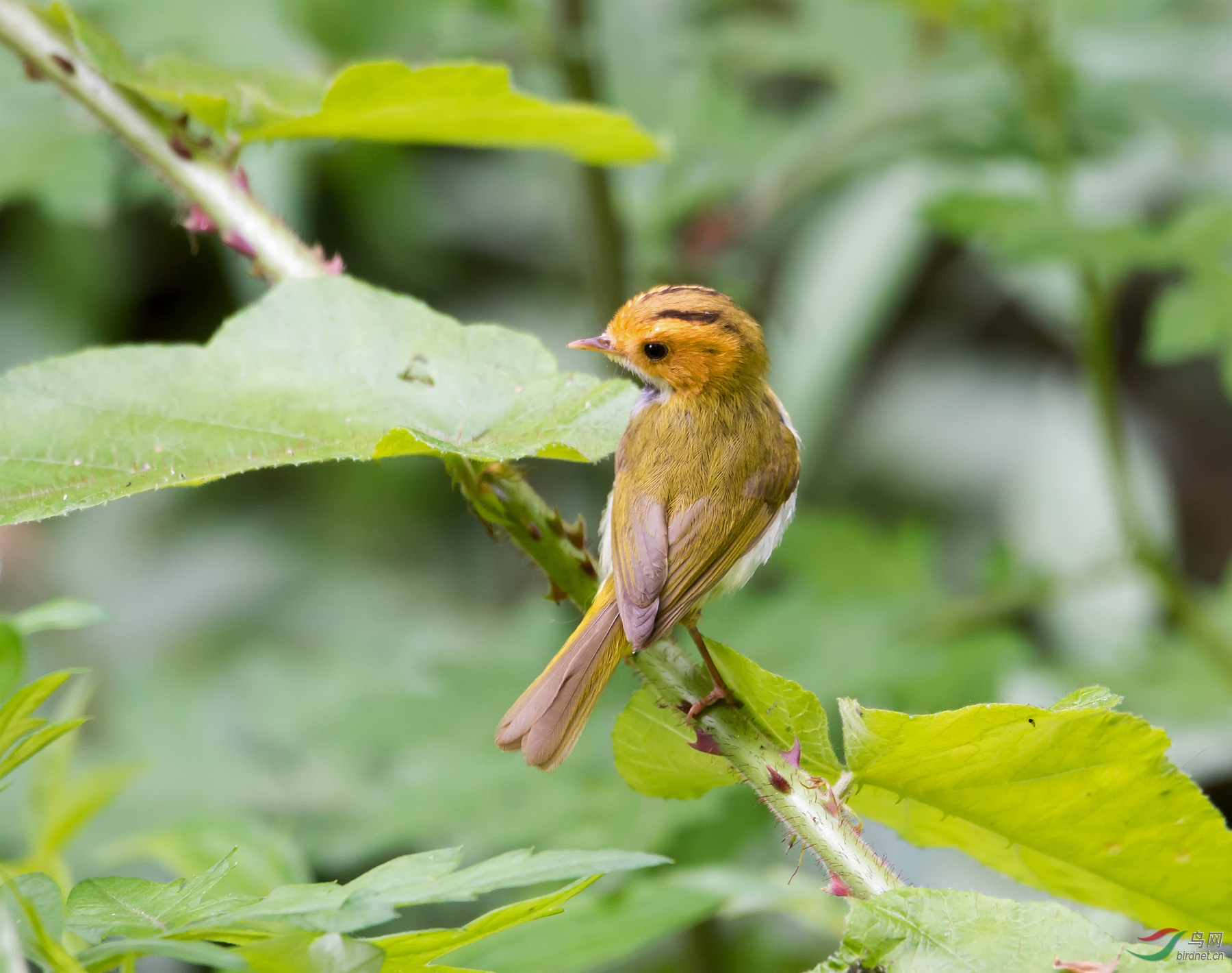 DSC_3360.jpg