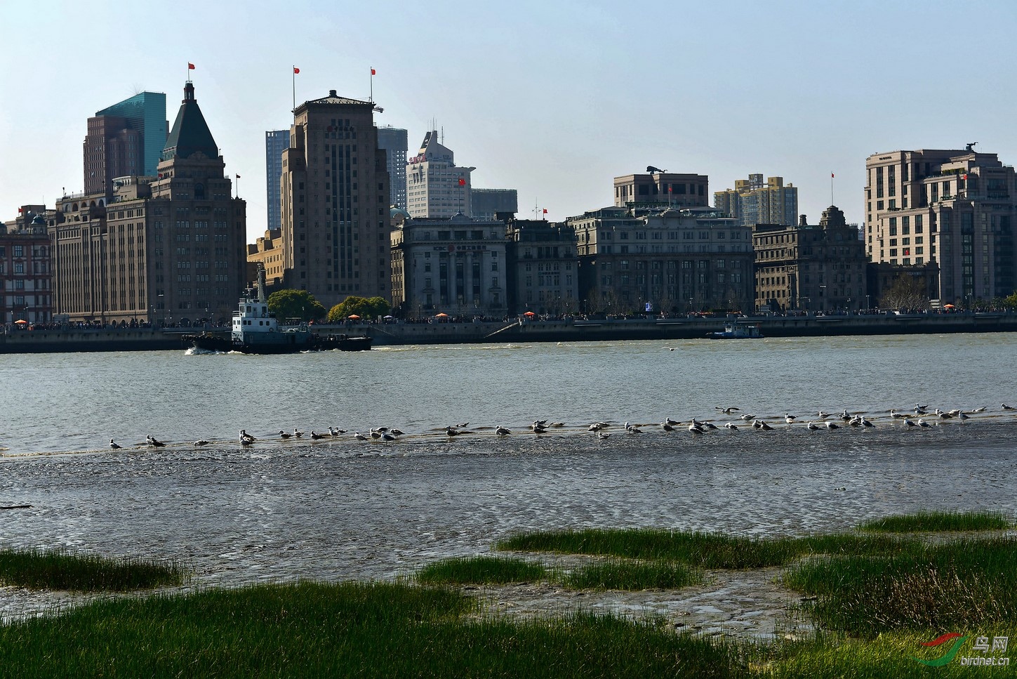 DSC_2935_����_DxO (����).jpg