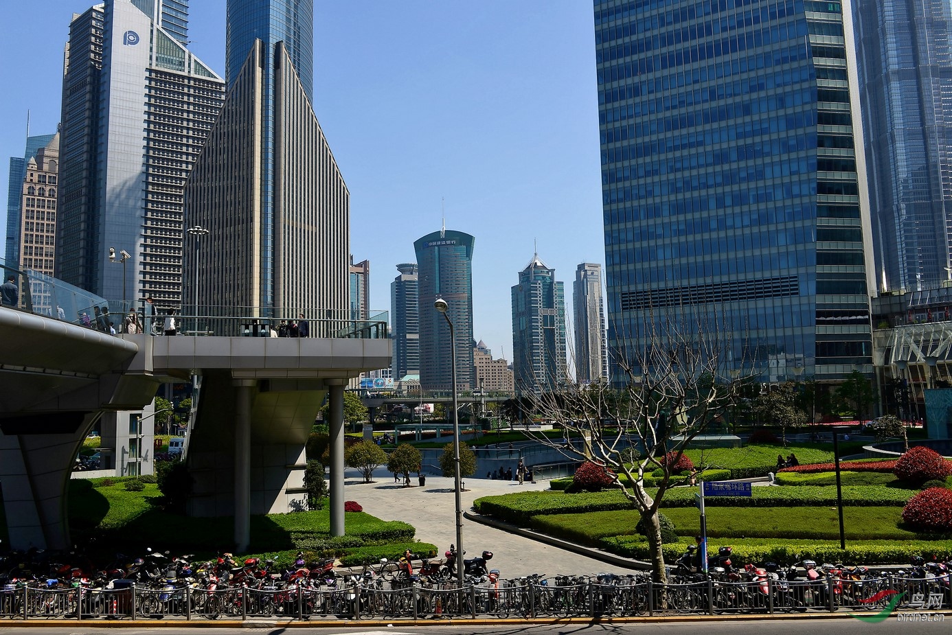 DSC_2861_����_DxO (����).jpg