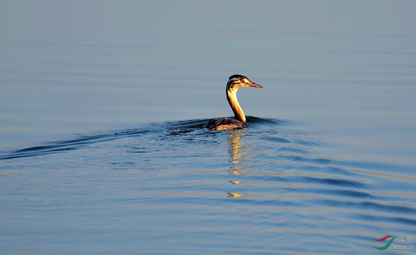 DSC_2212.JPG