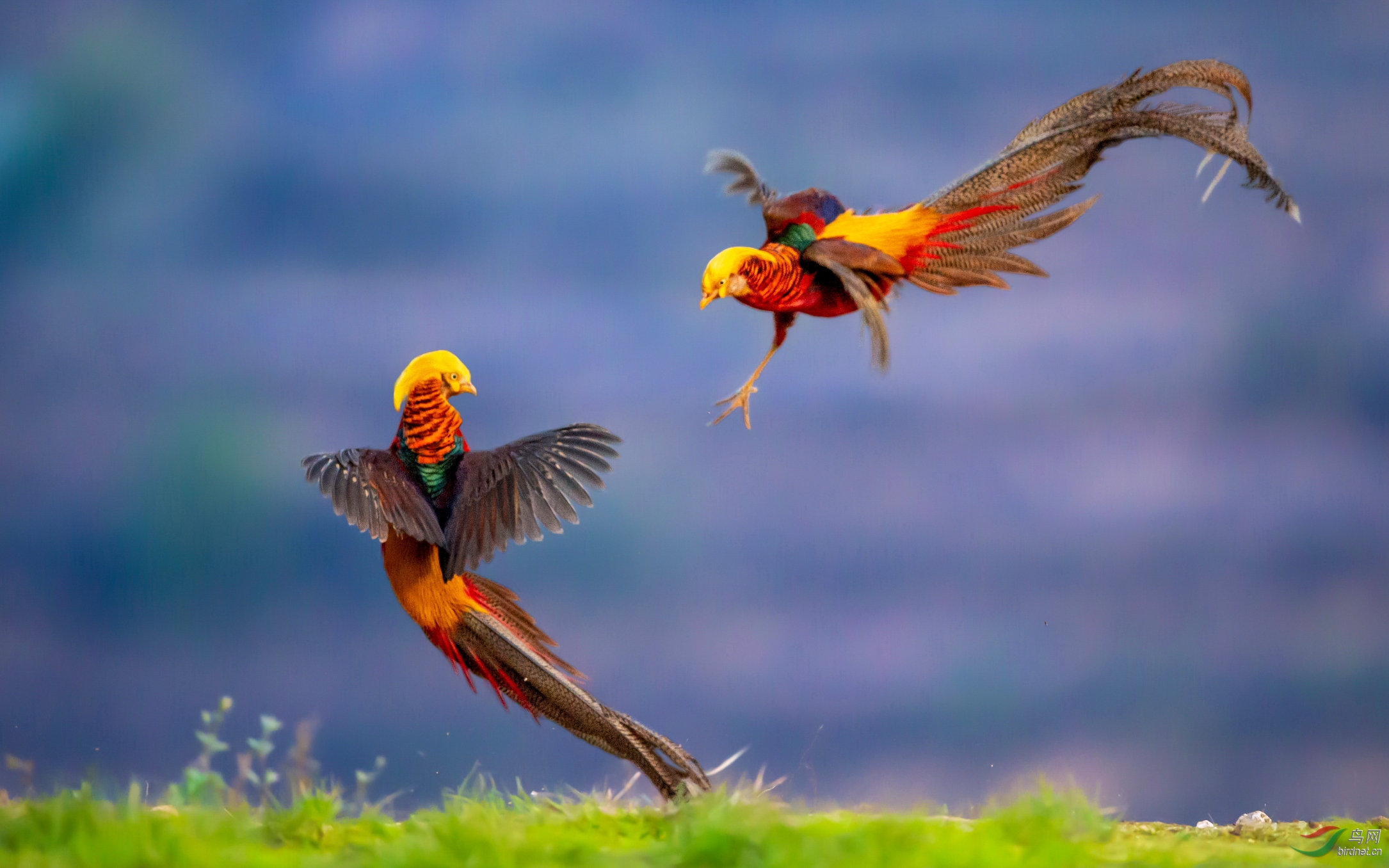 DPP_2015.JPG