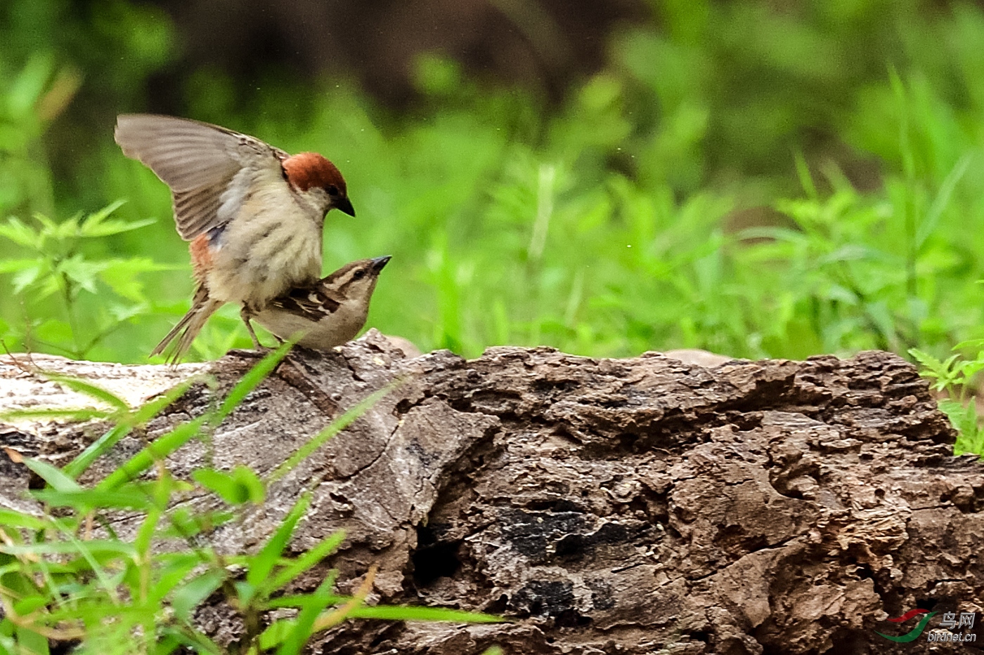 D5S_2832_21404a.jpg