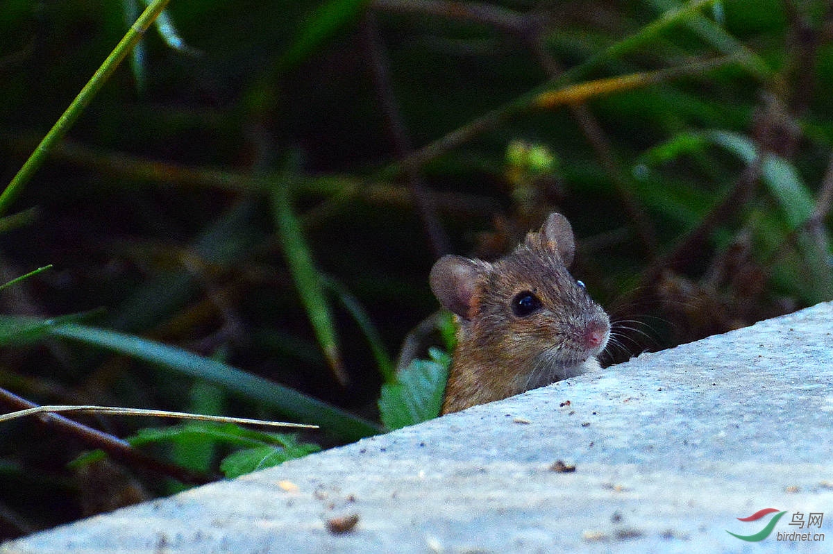 DSC_3692.JPG