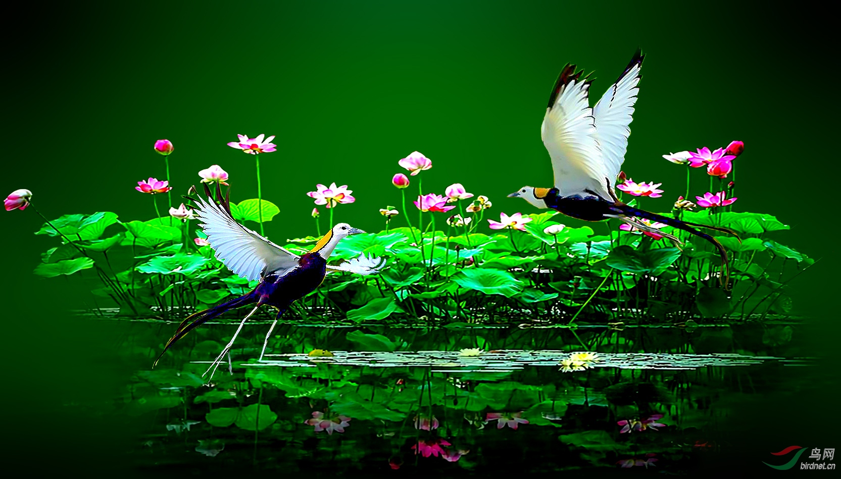 DSC_9857_���� (3)_����_����_����_����_����.jpg