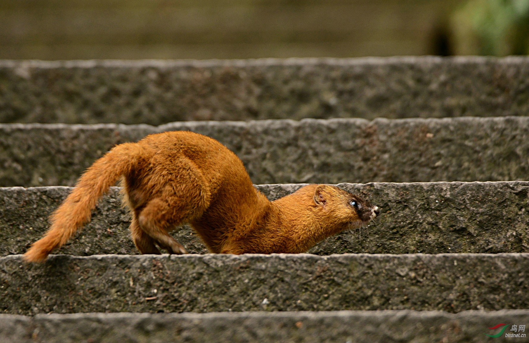 DSC_7602.jpg