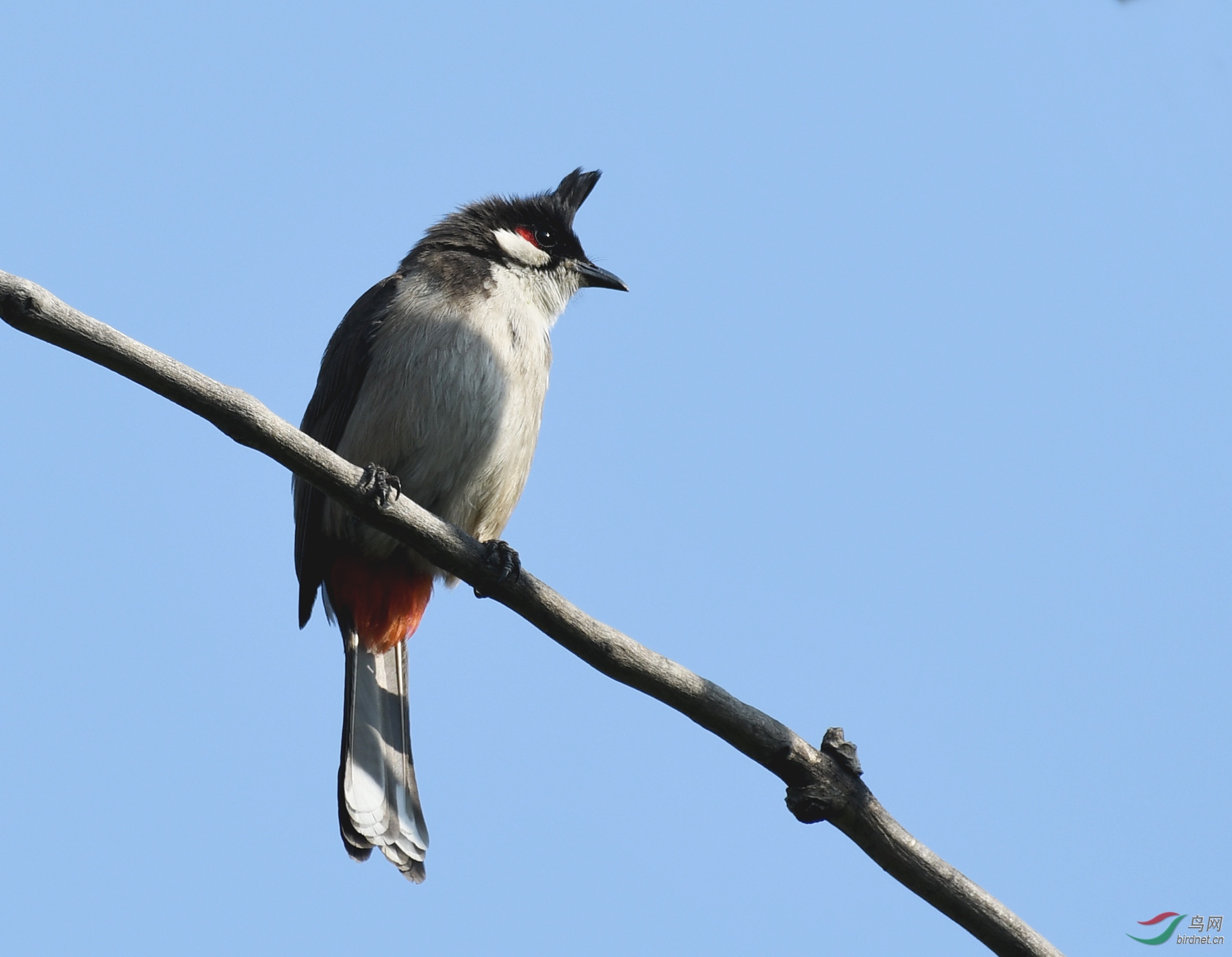 ������Ӱ 1127����.jpg