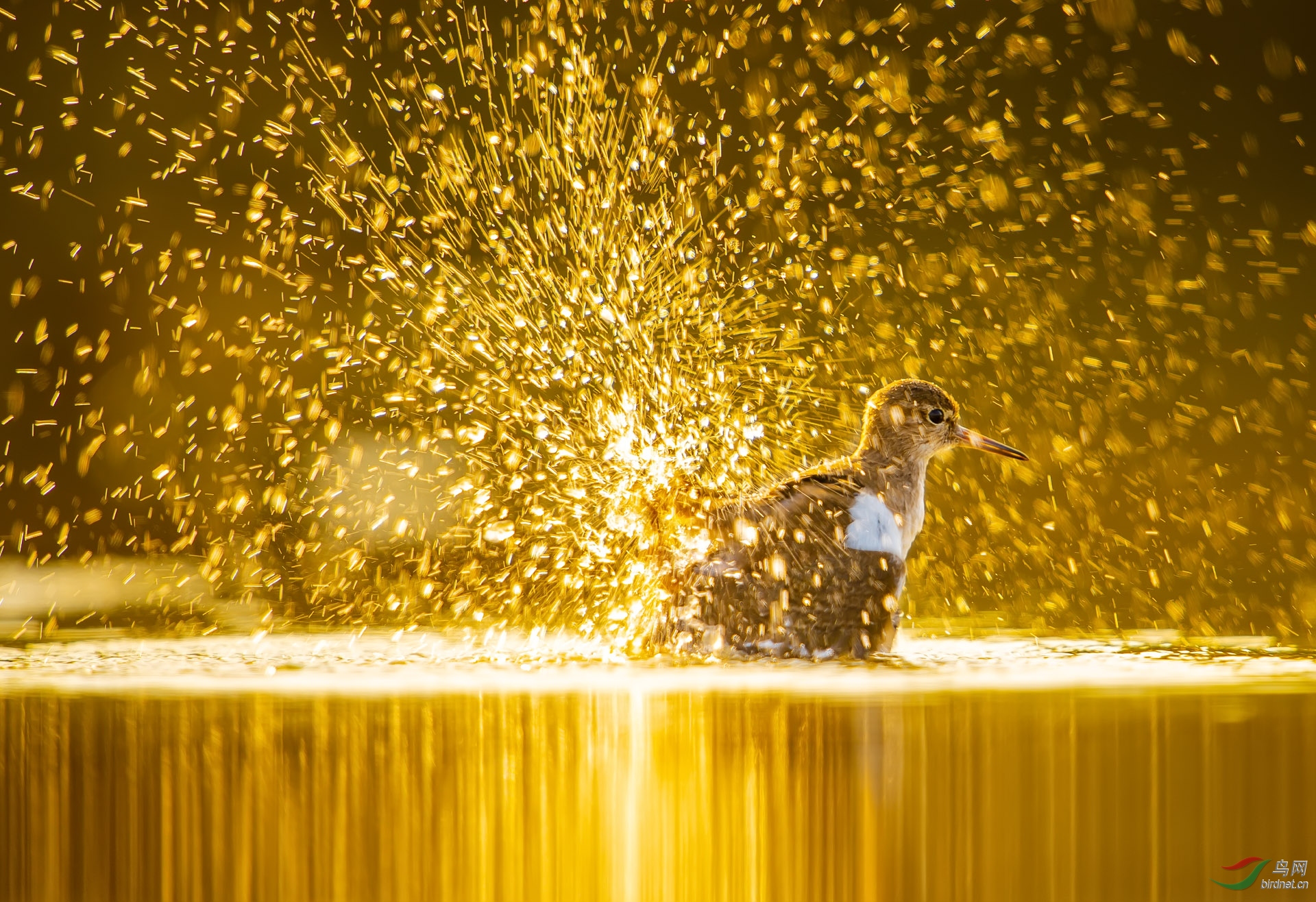 10002 (48)1 ����.jpg