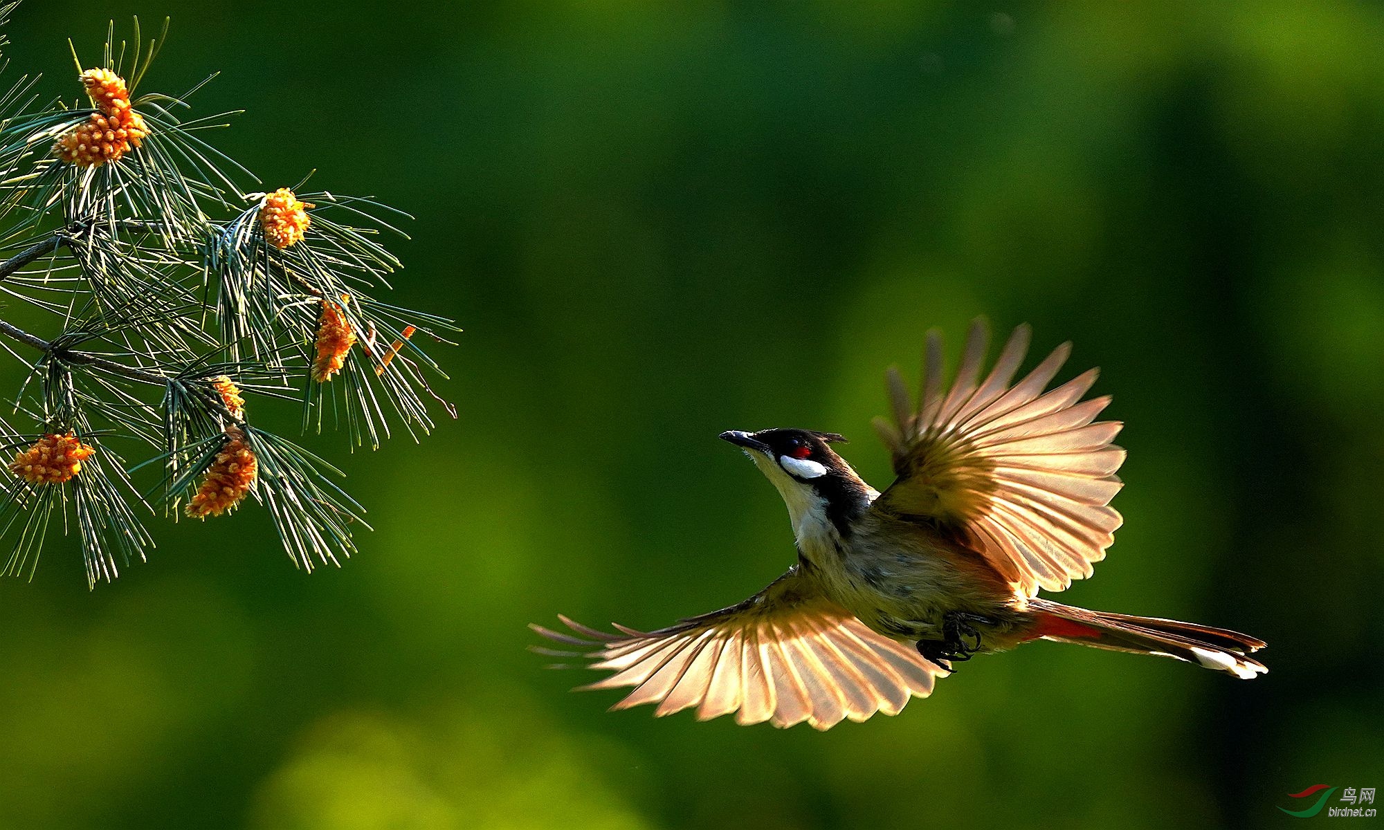 2 DSC03858_����.jpg