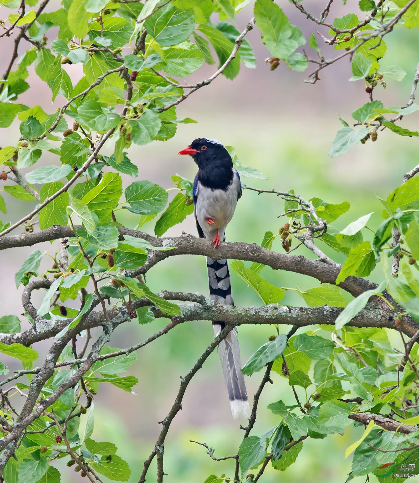 DSC_3900.jpg