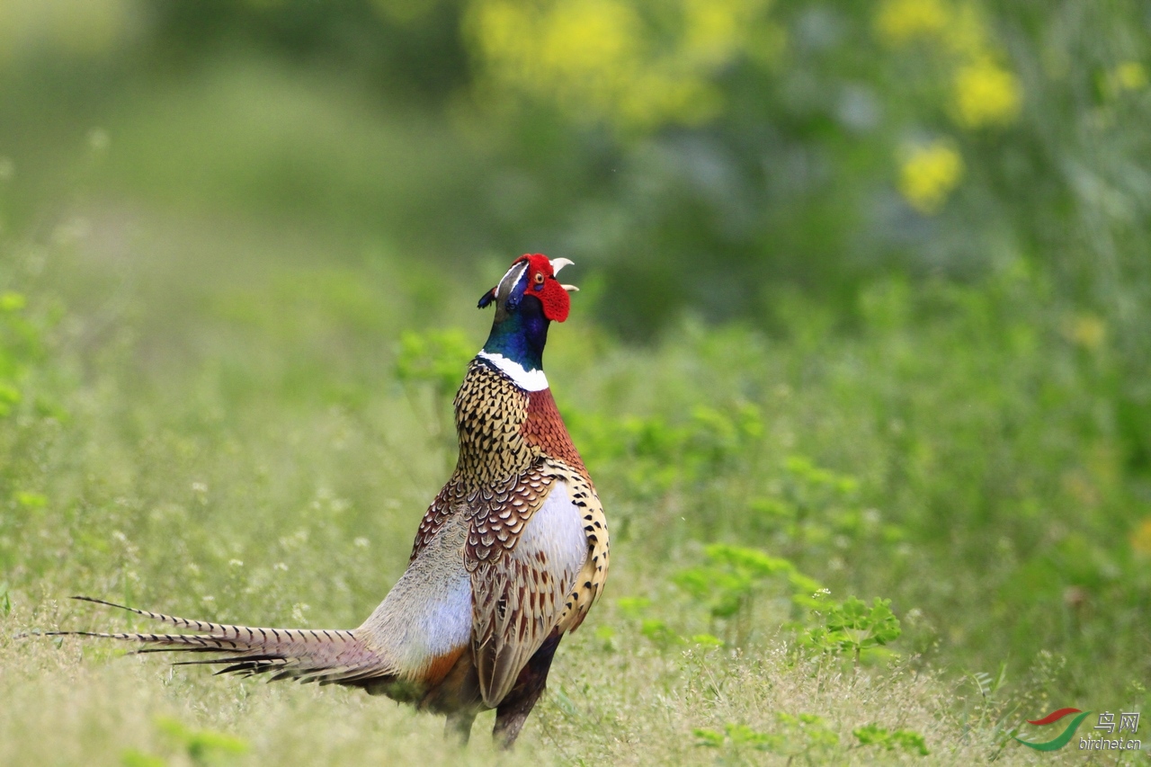 55����4 _MG_6634.JPG