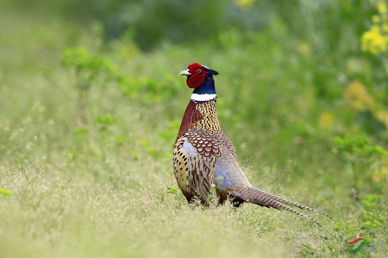 44���� 3 _MG_6610_��ͼ��.jpg