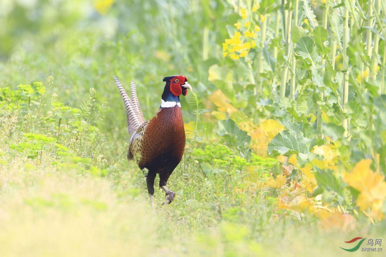 77���� 6_MG_6530_��ͼ��.jpg