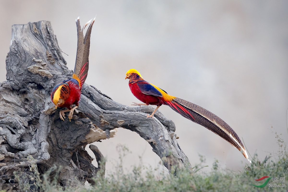 _DSC3248�츹���� 05-01AA.jpg