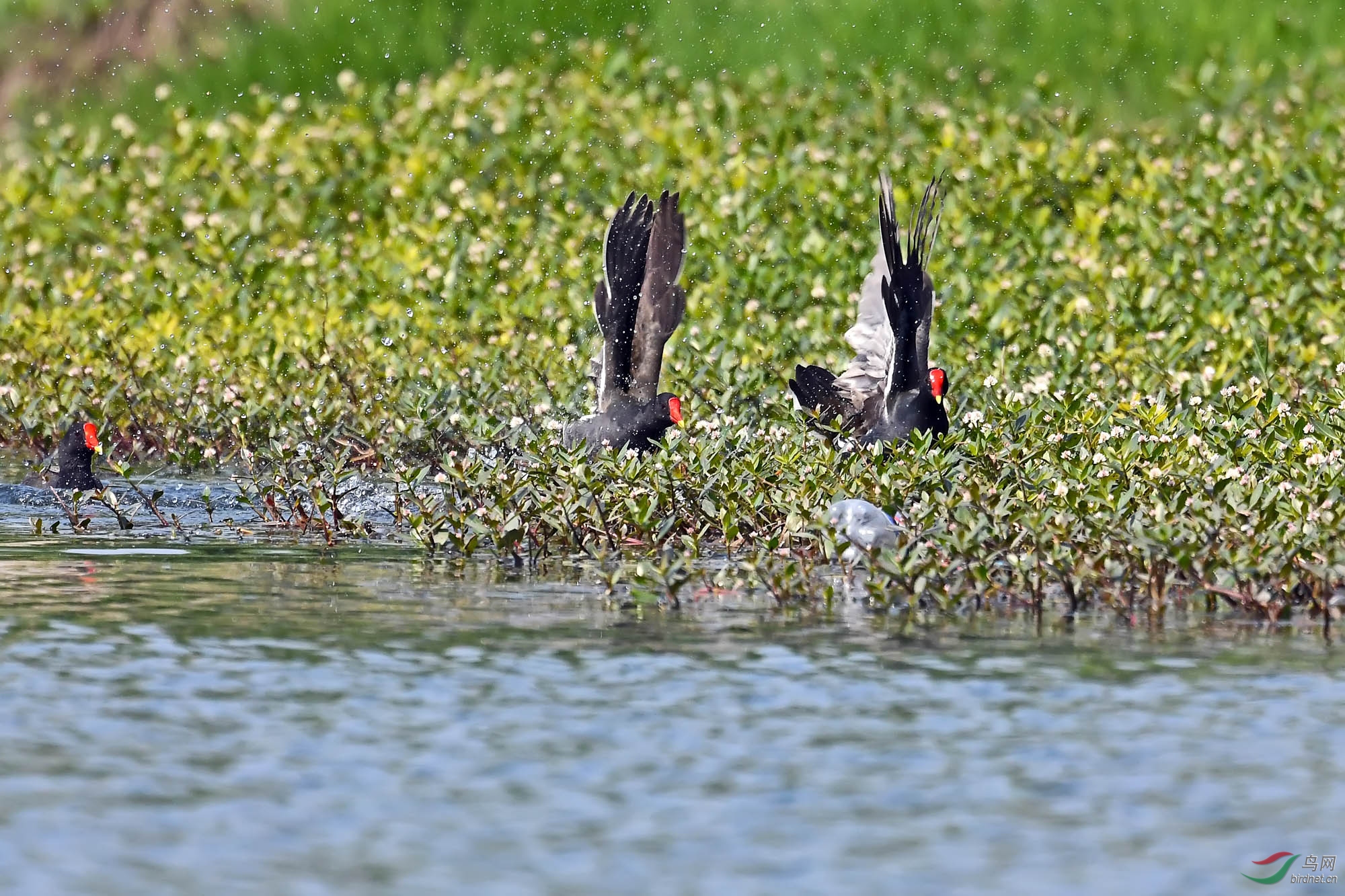 DSC_0764.jpg