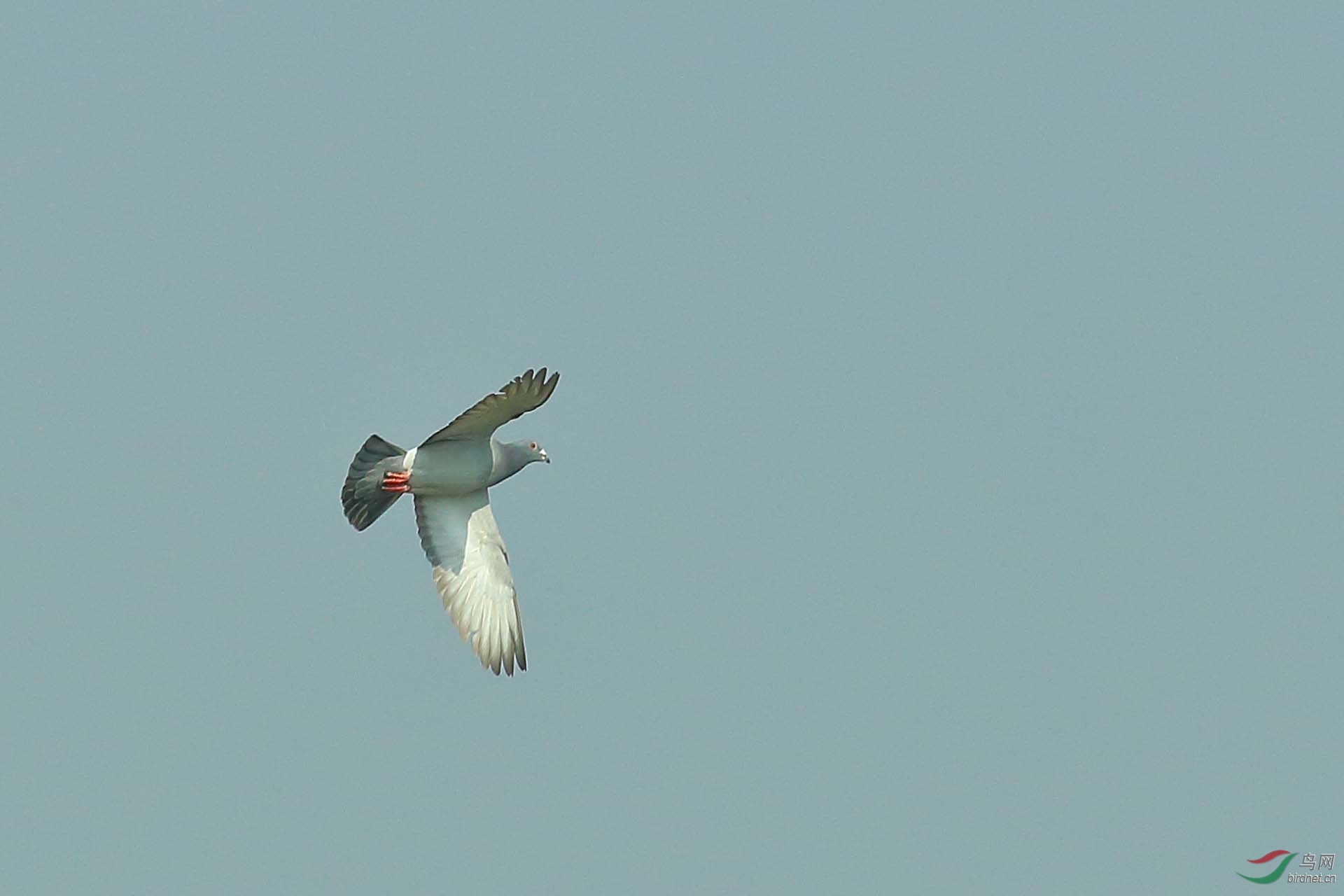 IMG_7241.JPG