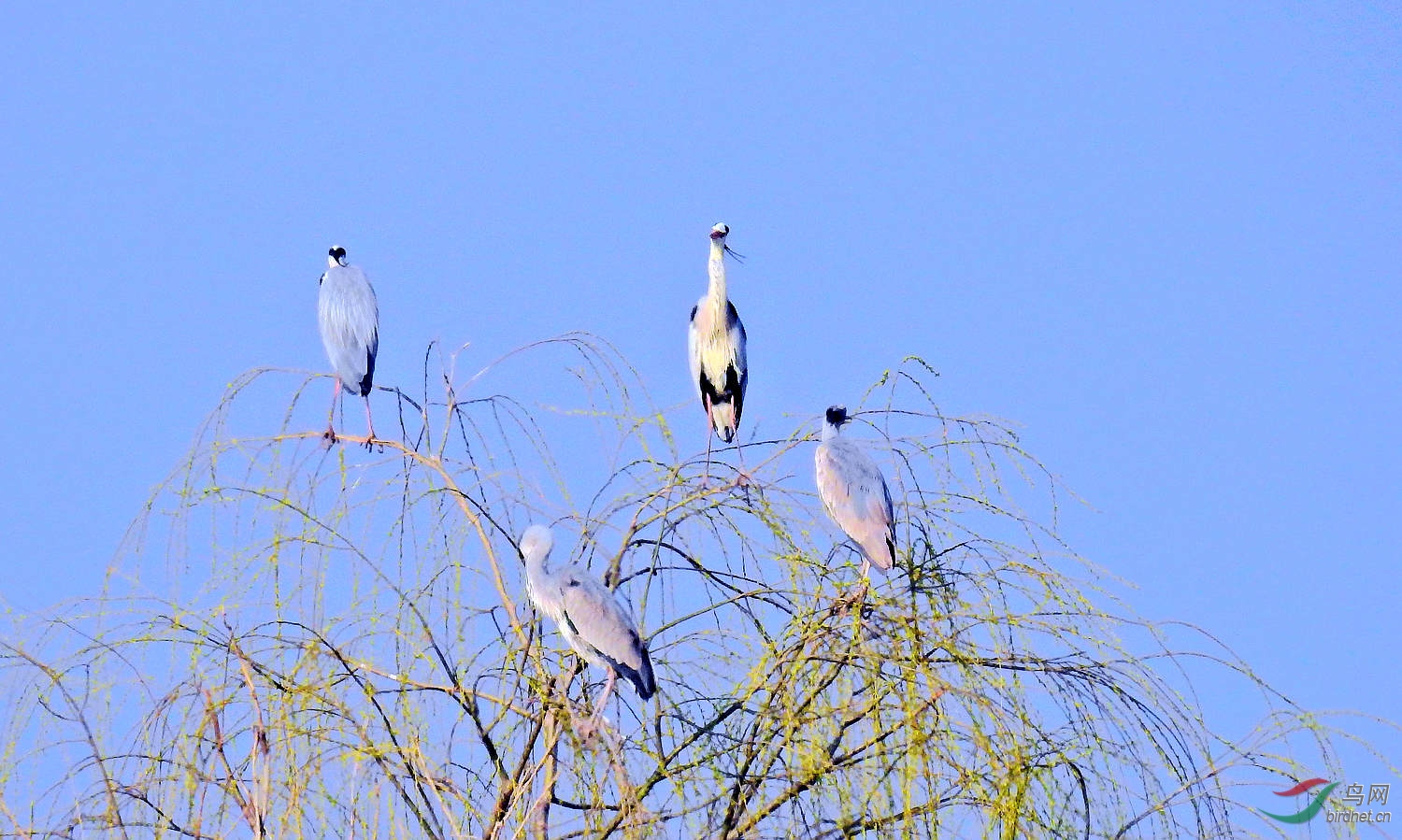 DSCN4857.JPG