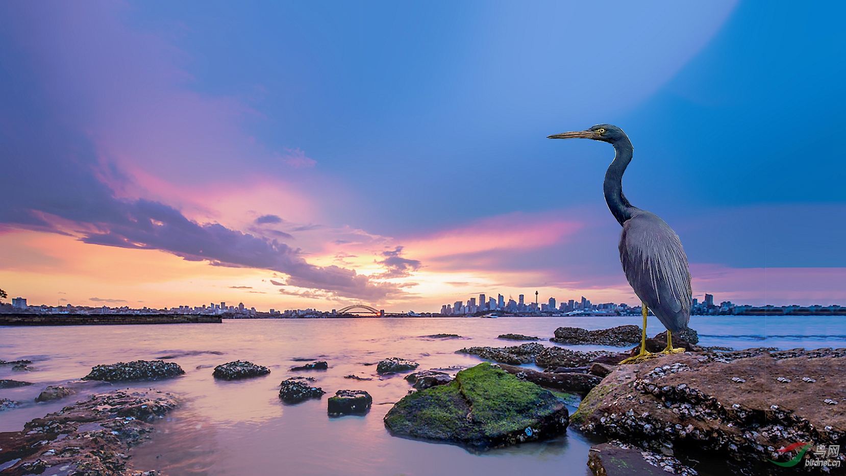 DSC_3423 (2)_����_����_����_����.jpg