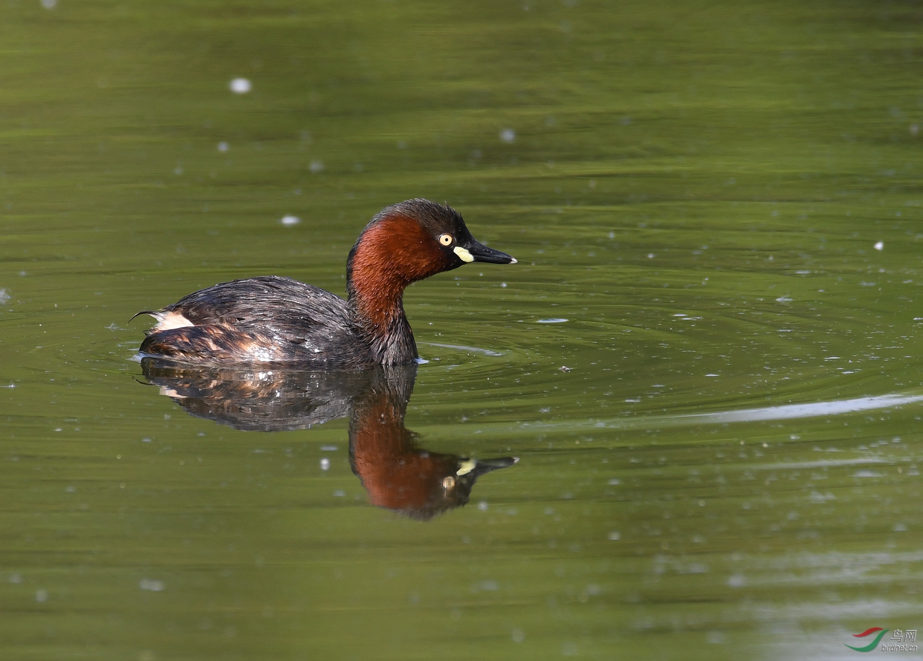 ������Ӱ 2191����.jpg