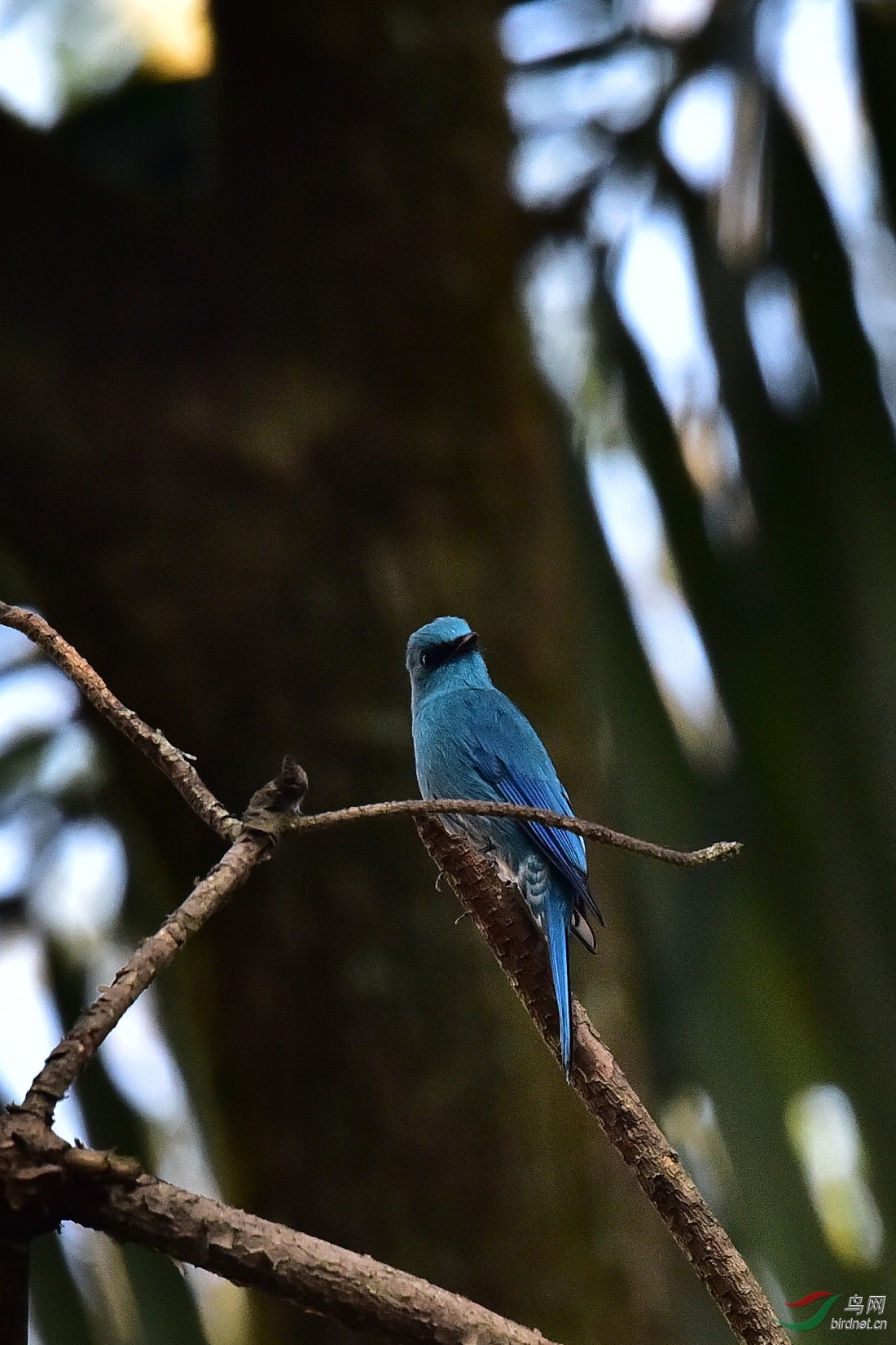 DSC_0668.JPG