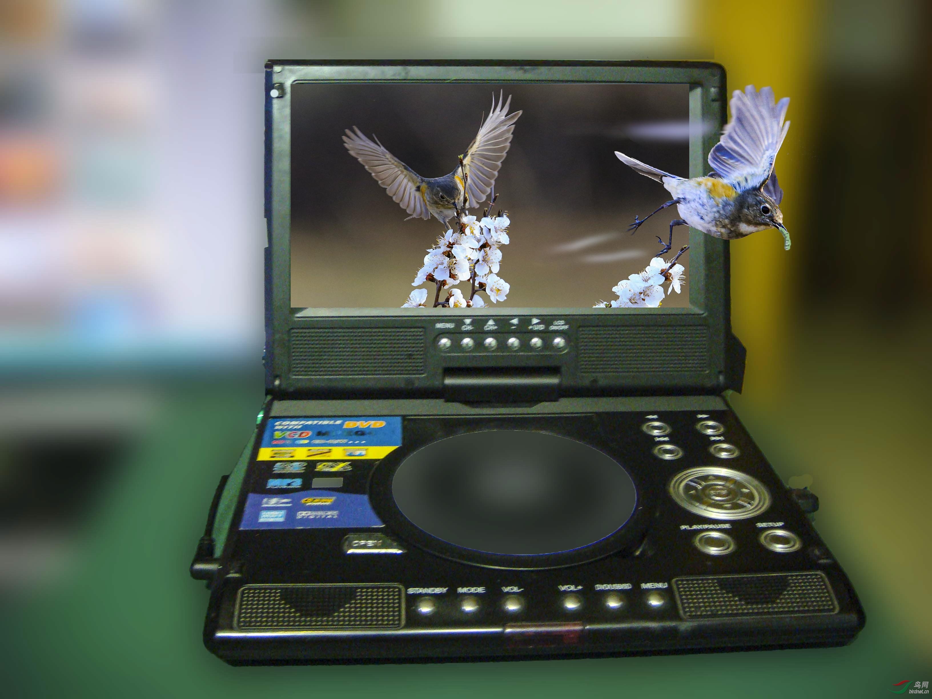 DSC05415 - ���� (2).JPG