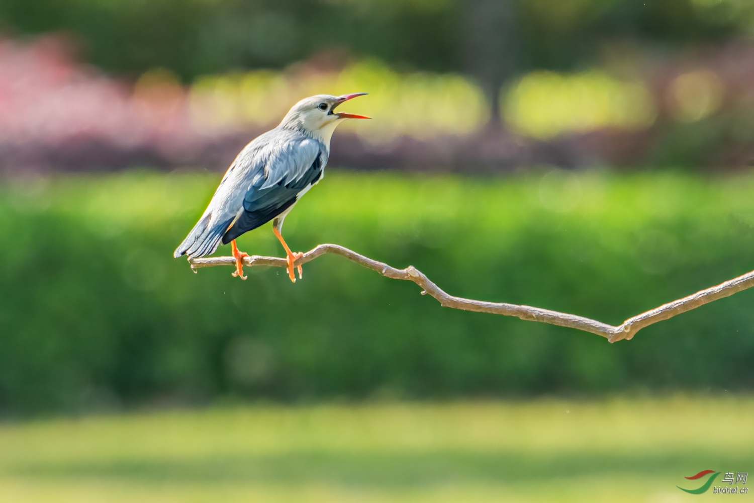 DSC_6863_1.jpg
