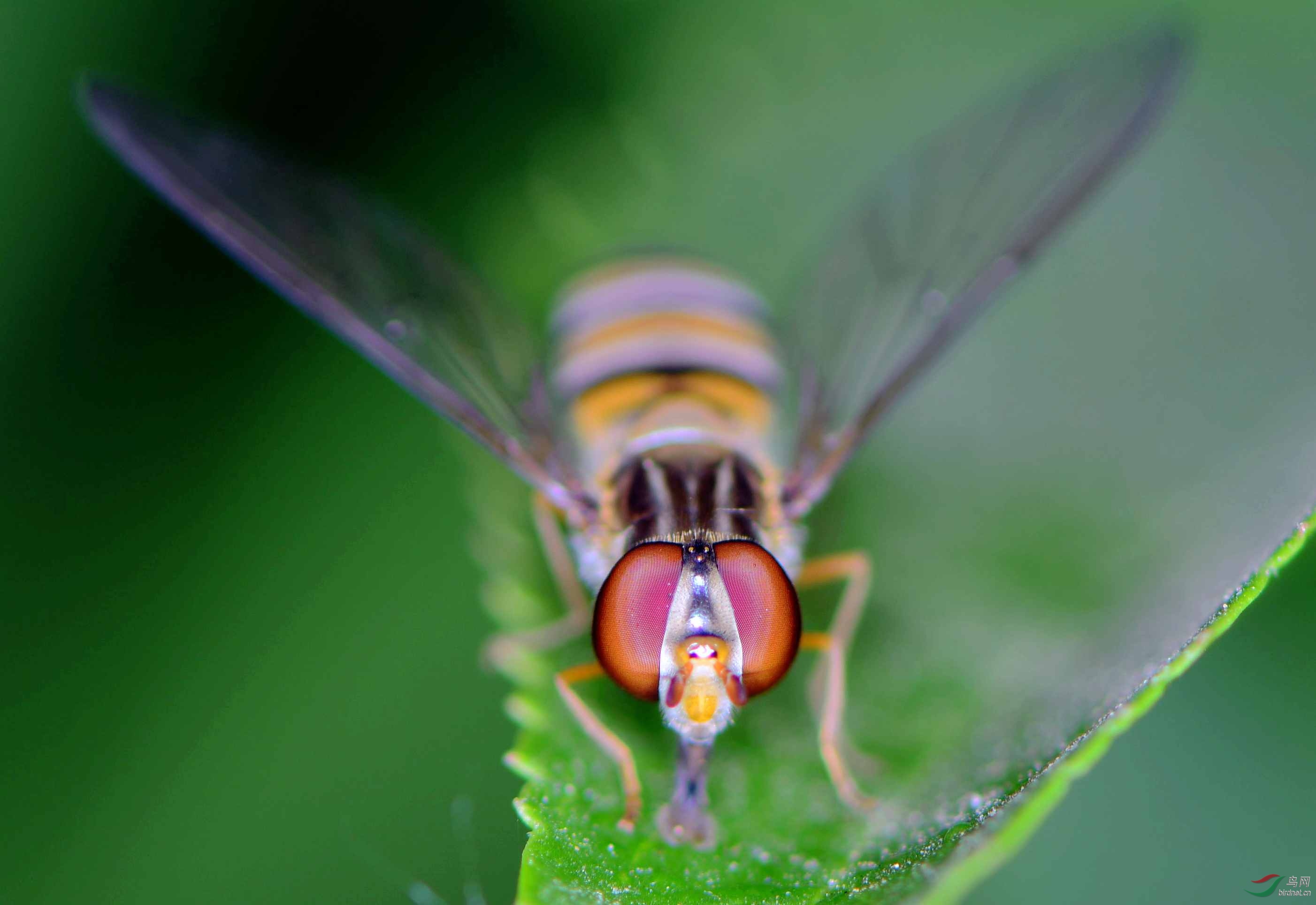 DSC_9839_����.jpg
