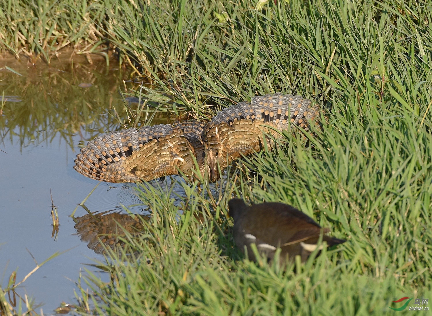 D8I_3591.jpg