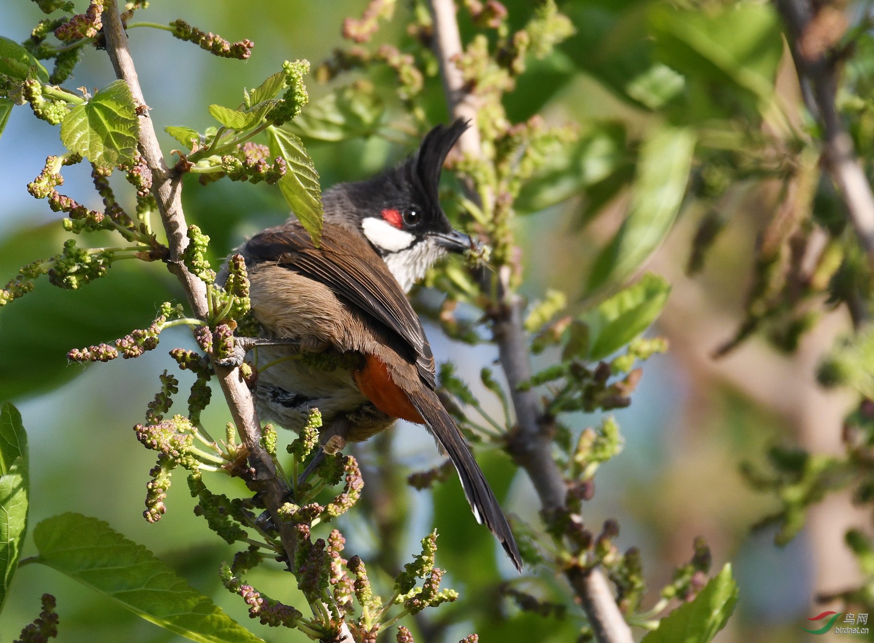 ������Ӱ 127����.jpg