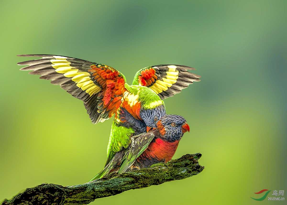 Ҭ���ʺ����� (2).jpg