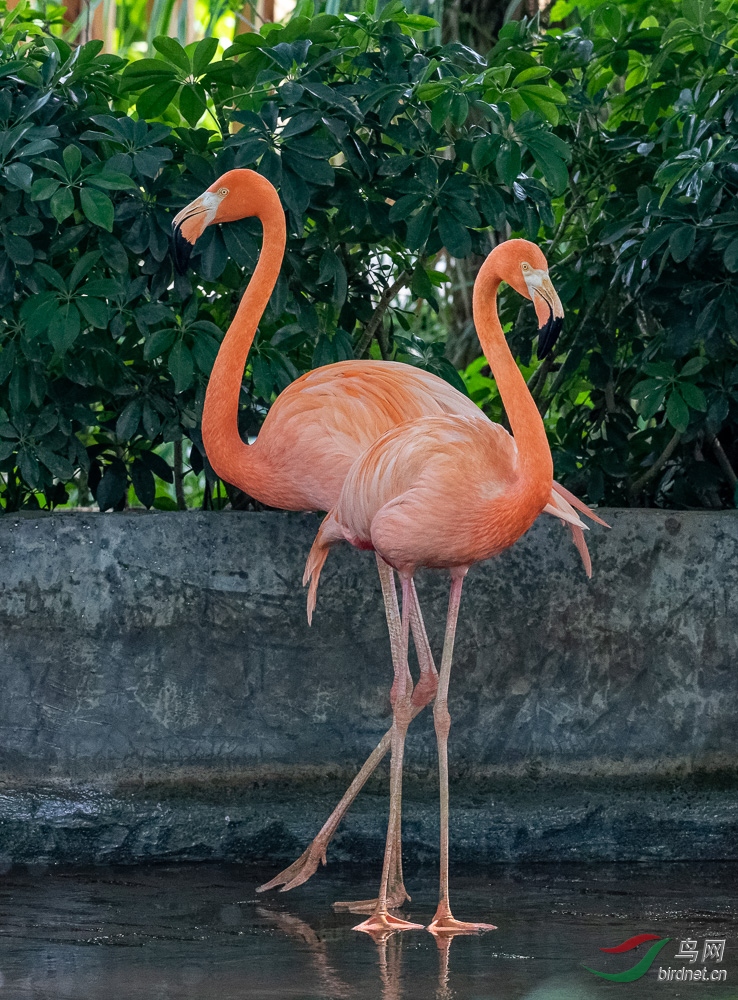 IMG_8686_DxO.jpg