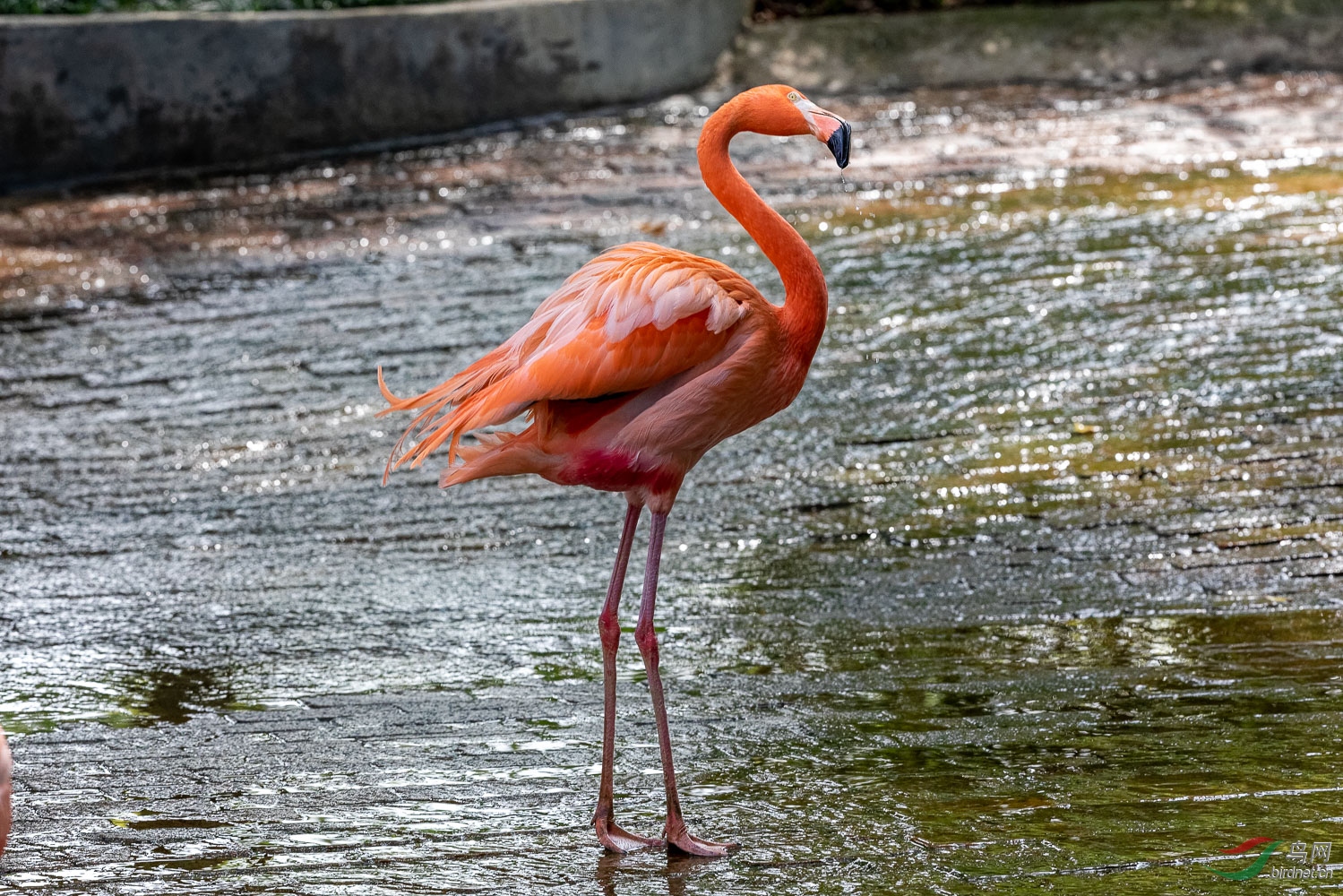 IMG_8816_DxO.jpg
