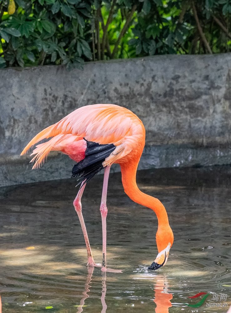 IMG_8788_DxO.jpg
