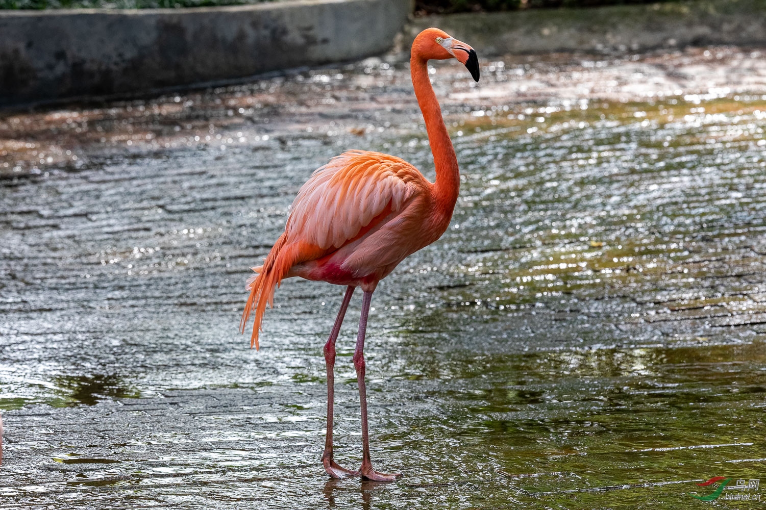IMG_8817_DxO.jpg
