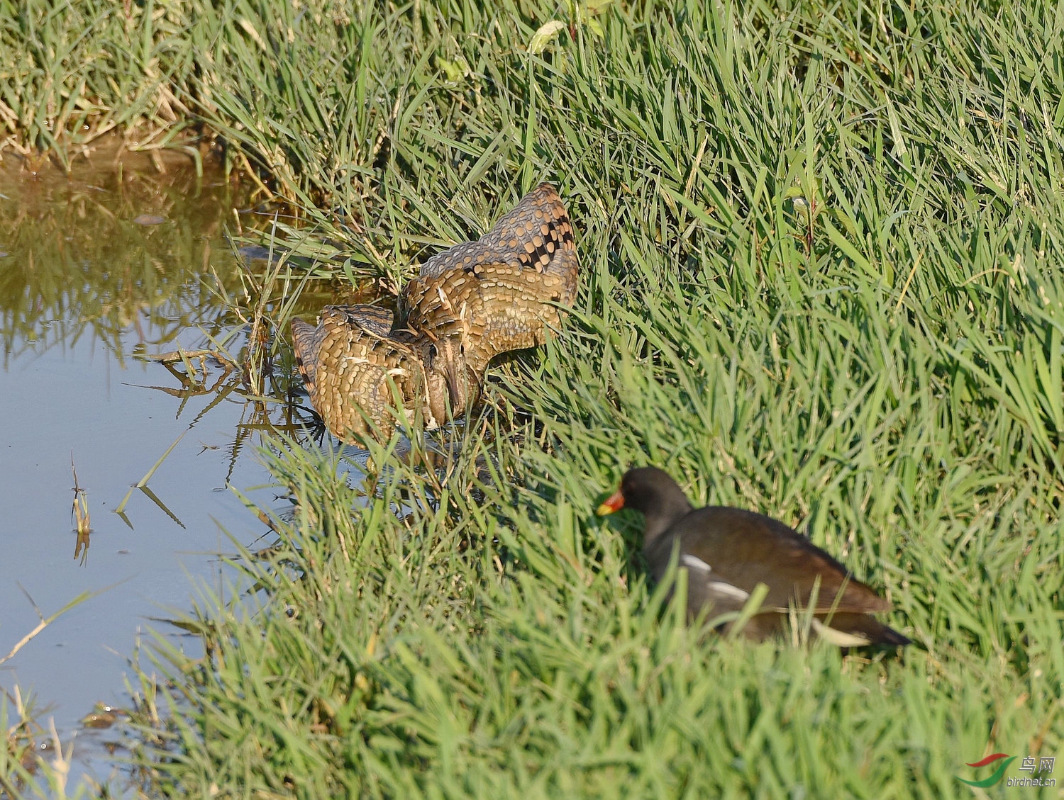D8I_3589.jpg