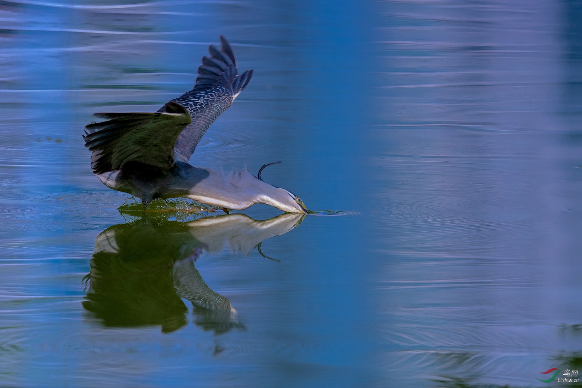 _DSC7002-1.jpg