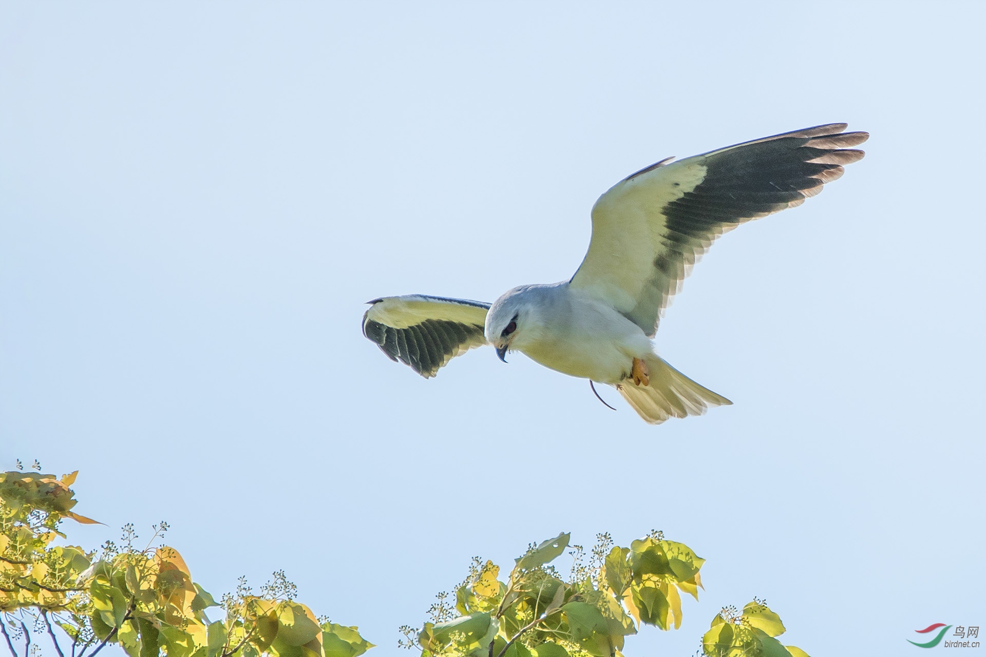 DSC_5761.jpg