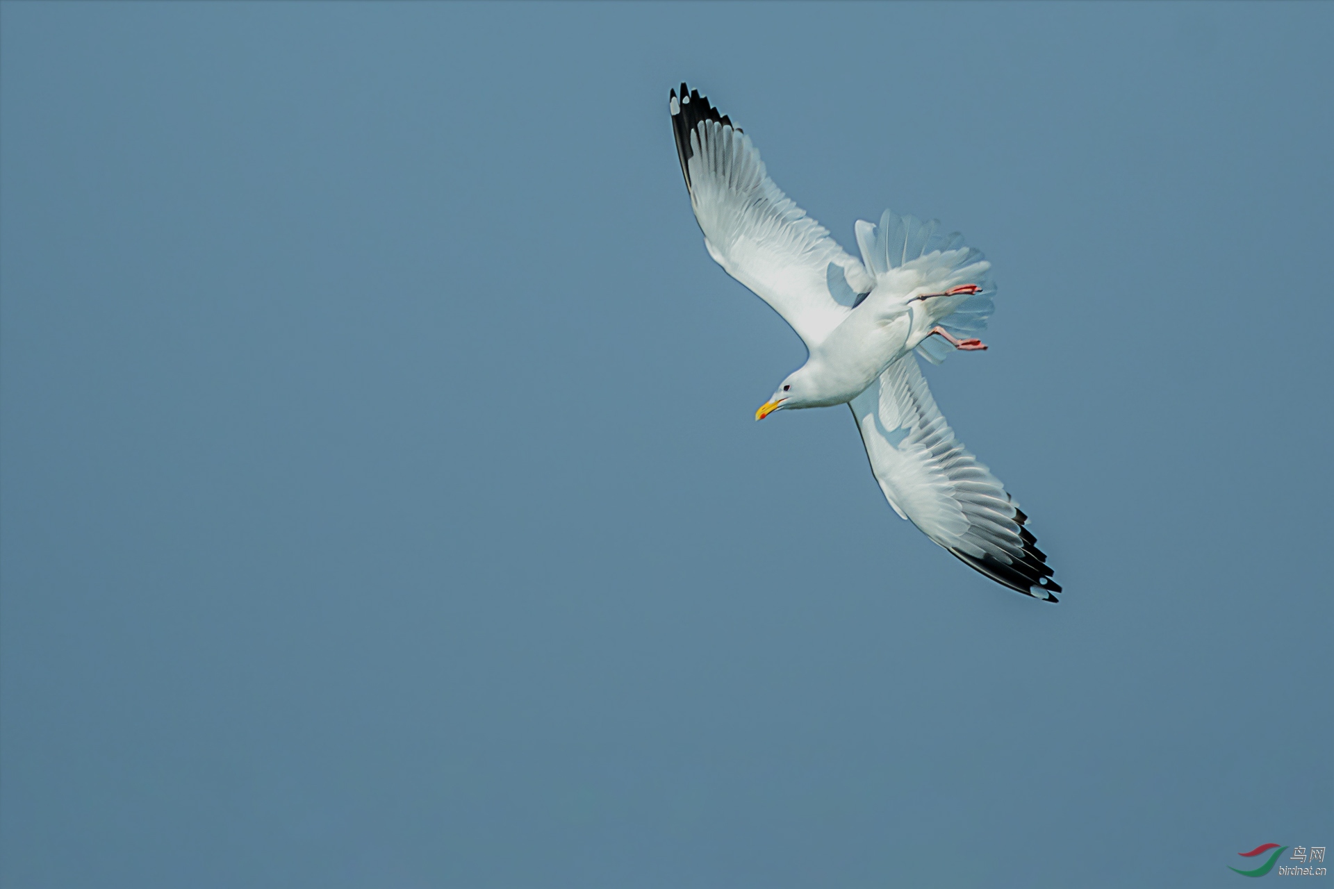 DSC_2797.jpg