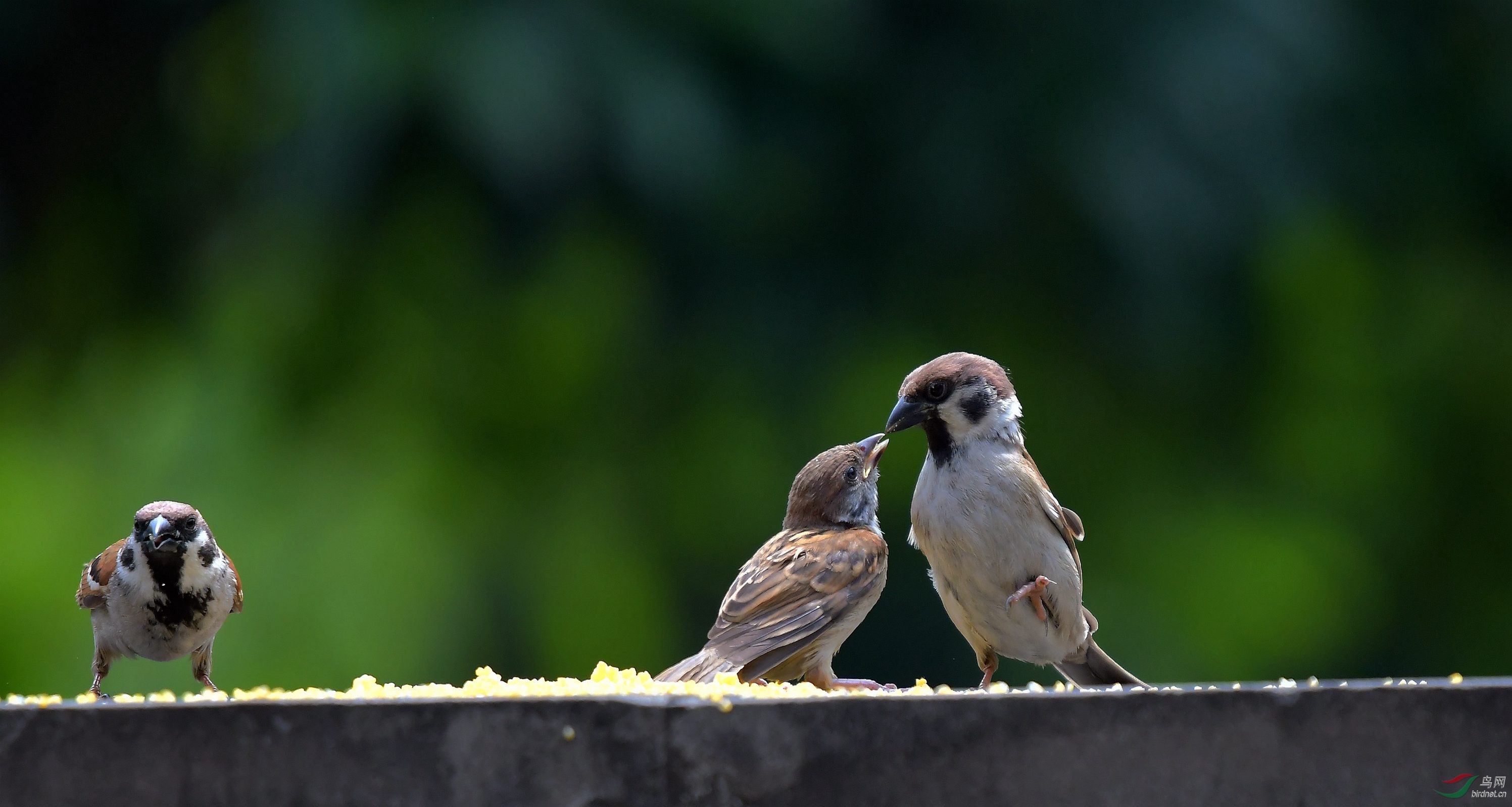 DSC_6024.jpg