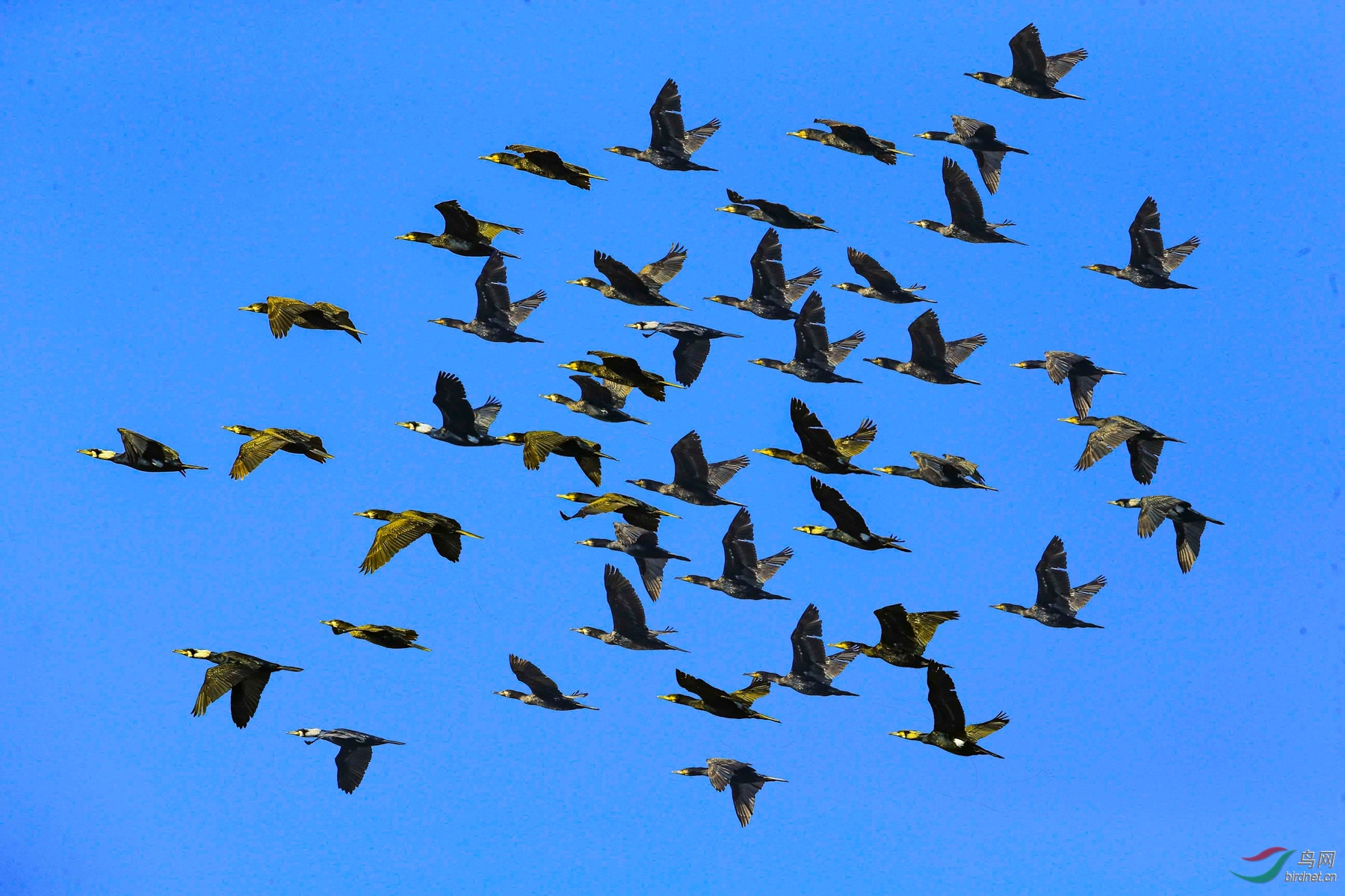 BE7W2304 - ����.JPG