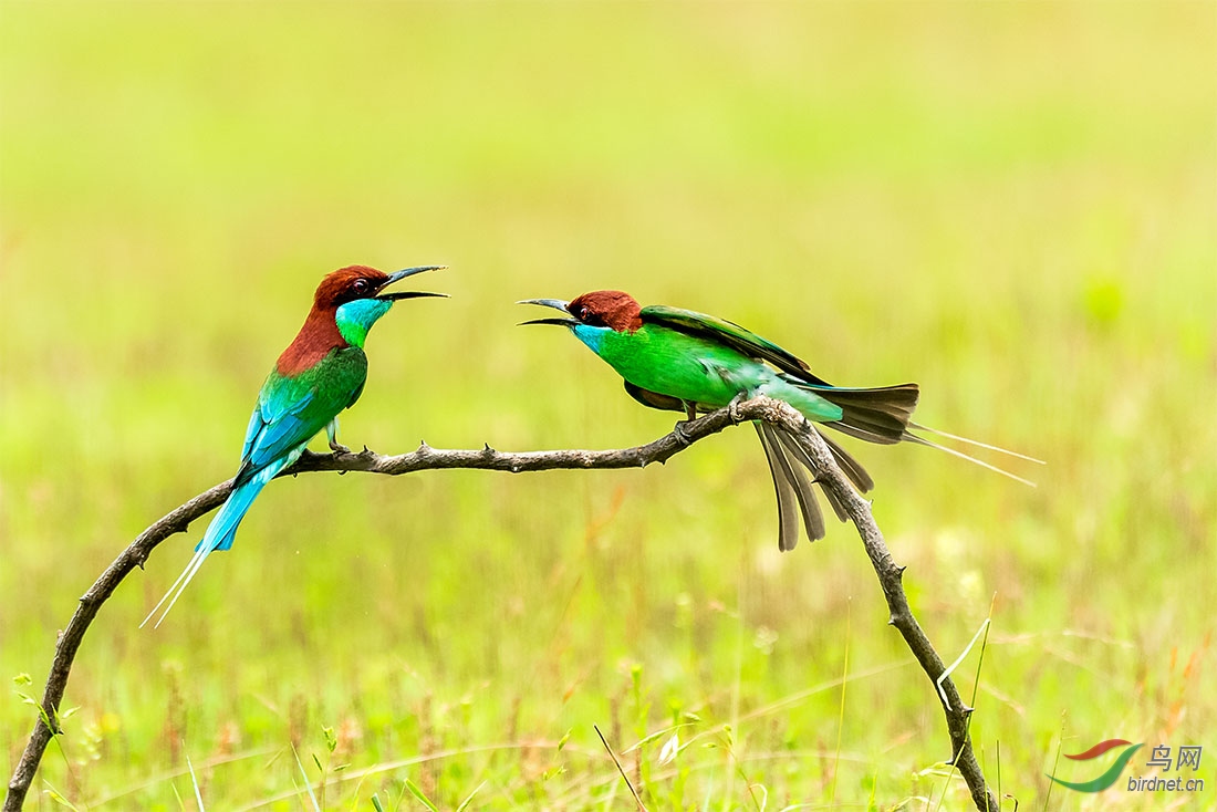 _DSC6488���� (2).jpg