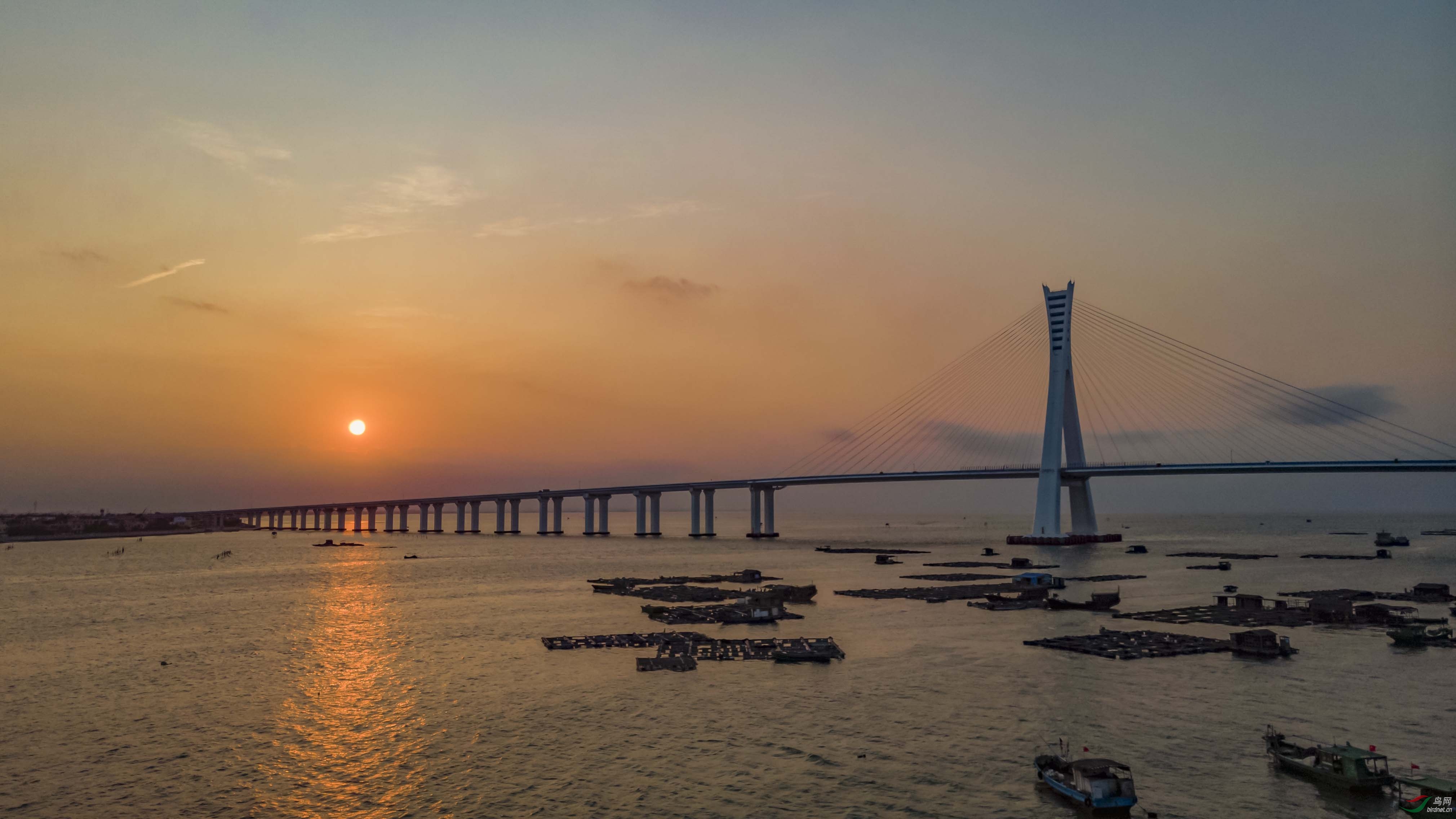 DJI_0698.jpg